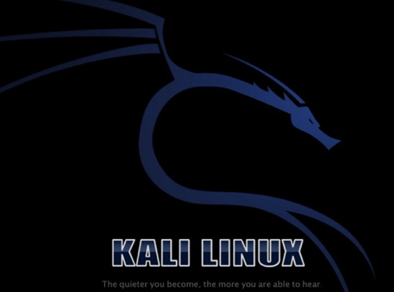 kali linux vm download